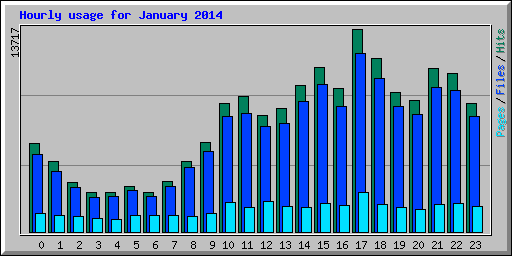 Hourly usage for January 2014